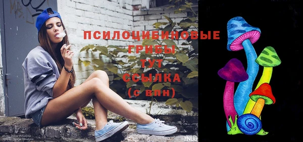 спайс Сосновый Бор