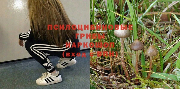 наркотики Абинск
