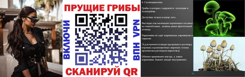 Псилоцибиновые грибы прущие грибы Усмань