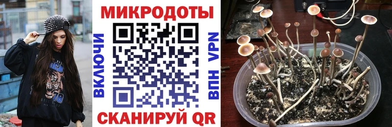 наркошоп  мега ССЫЛКА  Галлюциногенные грибы мухоморы  Усмань 
